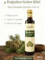 Yeni Kozalak Şurubu – Doğal İçerikli Şurup 500 ml